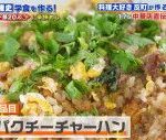 【『家事ヤロウ!!!』レシピ】反町隆史の自宅飯！中華店直伝の「パクチーチャーハン」