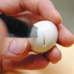 給食の『うずらの卵』を食べて…小1死亡に衝撃　こども家庭庁は「給食使用避ける食材」と記載もネットでは「そのうち食べられるものが…」