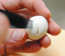 給食の『うずらの卵』を食べて…小1死亡に衝撃　こども家庭庁は「給食使用避ける食材」と記載もネットでは「そのうち食べられるものが…」