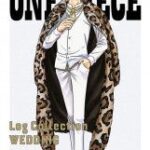 『ワンピ』サンジの「物理」を超えた強さには「ある一族」との関係が？ 　考察白熱