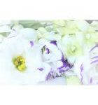 【訃報】女優・長田奈麻さんが闘病の末…56歳 KERA氏「喪失感は大きい」