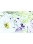 【訃報】女優・長田奈麻さんが闘病の末…56歳 KERA氏「喪失感は大きい」