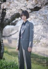 萩原利久、主演・杉咲花のバディ役で出演　映画『朽ちないサクラ』主要キャスト・キャラクタービジュアル解禁