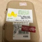 “有精卵”をふ化させて3羽のひよこが誕生　飼い主さん「食べる予定はないです（笑）。末永く人生を共に生きていきたい」